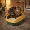 Semi-Enclosed Cat Litter Box with Scoop lifestyle image Semi-Enclosed Cat Litter Box with Scoop lifestyle image