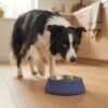 A Border Collie (black and white coat) is standing over the PetzVibes Anti-Tip Stainless Steel Dog Bowl in Smoke Blue, round shape, placed on a light oak kitchen floor petzvibes.com
