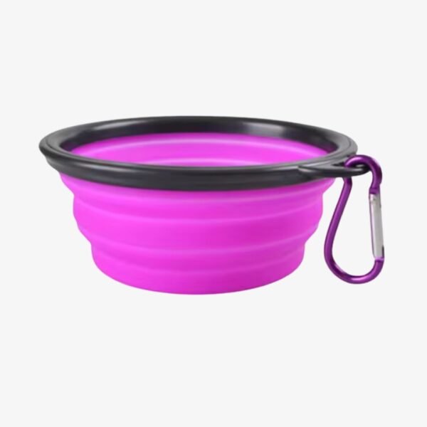 Collapsible Silicone Pet Bowl purple Petzvibes.com