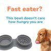 Collapsible Travel Dog Bowl product features
