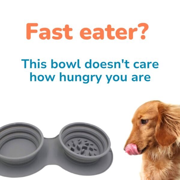 Collapsible Travel Dog Bowl product features