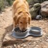 Collapsible Travel Dog Bowl A golden retriever eating from the PetzVibes collapsible 2-in-1 grey silicone travel bowl, fully expanded to its standard depth, set on a dirt hiking trail or flat rock outdoors petzvibes.com