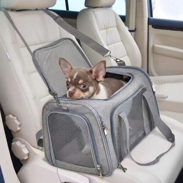 Collapsible Travel Pet Carrier Lifestyle