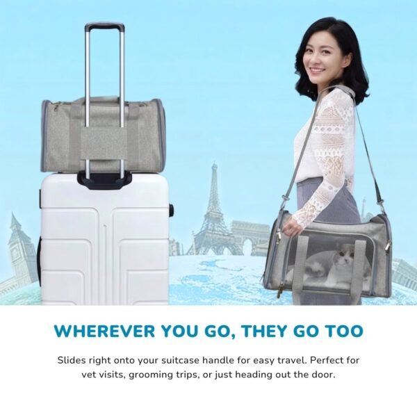Collapsible Travel Pet Carrier Travel