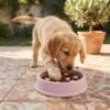 A young Golden Retriever puppy is playfully digging into a pink heart-pattern dog puzzle slow feeder bowl on a patterned outdoor patio tile, with a blurred potted plant in the corner of the frame.at petzvibes.com A young Golden Retriever puppy is playfully digging into a pink heart-pattern dog puzzle slow feeder bowl on a patterned outdoor patio tile, with a blurred potted plant in the corner of the frame.at petzvibes.com