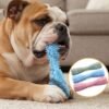 Dog Teething Chew Stick Lifestyle with 3 sticks petzvibes.com Dog Teething Chew Stick Lifestyle with 3 sticks petzvibes.com