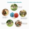 Dog Treat Dispensing Tooth Cleaning Ball Benefits petzvibes.com Dog Treat Dispensing Tooth Cleaning Ball Benefits petzvibes.com