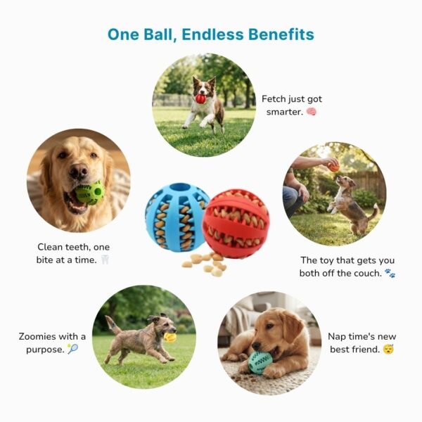 Dog Treat Dispensing Tooth Cleaning Ball Benefits petzvibes.com Dog Treat Dispensing Tooth Cleaning Ball Benefits petzvibes.com