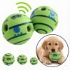 Giggle Sound Ball Dog Toy features petzvibes.com