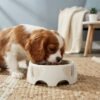 Melamine Small Dog Bowl - PetzVibes Product Content Package