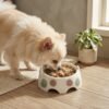 melamine small dog bowl small dog breed eating from the bowl