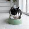 Black and white tuxedo cat drinking from a green stainless steel tilted cat bowl on a modern kitchen floor