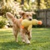 Plush Sleeping Duck Dog Toy 3 ducks Large dog with toy petzvibes.com Plush Sleeping Duck Dog Toy 3 ducks Large dog with toy petzvibes.com