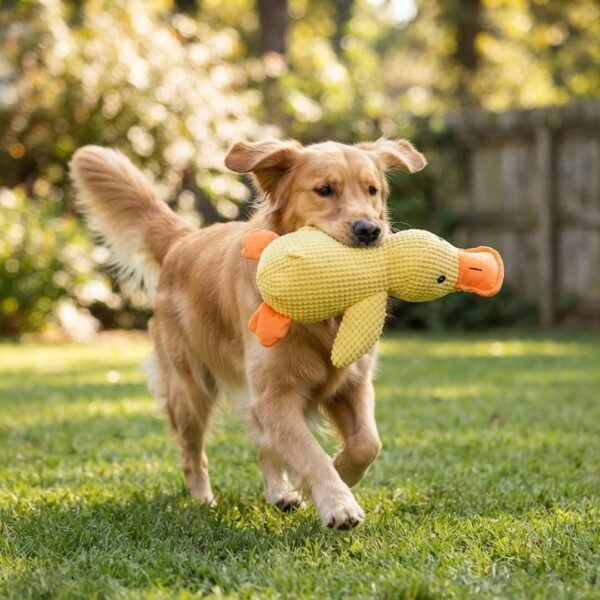 Plush Sleeping Duck Dog Toy 3 ducks Large dog with toy petzvibes.com Plush Sleeping Duck Dog Toy 3 ducks Large dog with toy petzvibes.com