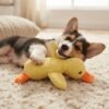 Plush Sleeping Duck Dog Toy 3 ducks Small dog with toy Plush Sleeping Duck Dog Toy 3 ducks Small dog with toy PetzVibes