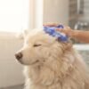 Silicone Pet Bath Brush Lifestyle large dog bathing petzvibes