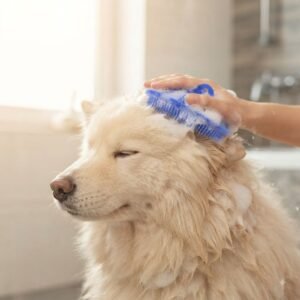 Silicone Pet Bath Brush Lifestyle large dog bathing petzvibes Silicone Pet Bath Brush Lifestyle large dog bathing petzvibes