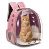 Orange tabby cat sitting inside the PetzVibes pink Space Capsule Cat Backpack Carrier bubble window.
