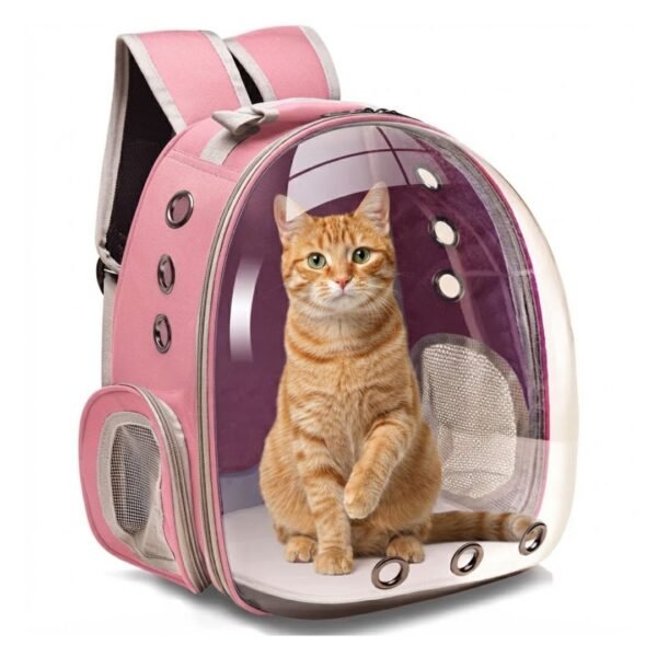 Orange tabby cat sitting inside the PetzVibes pink Space Capsule Cat Backpack Carrier bubble window.