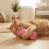 Teeth Grinding Catnip Cat Toy Lifestyle Cat plays with pink toy petzvibes.com Teeth Grinding Catnip Cat Toy Lifestyle Cat plays with pink toy petzvibes.com