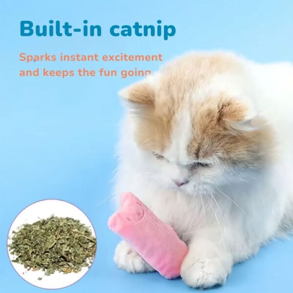 Teeth Grinding Catnip Cat Toy features Cat plays with pink toy petzvibes.com Teeth Grinding Catnip Cat Toy features Cat plays with pink toy petzvibes.com