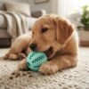dog treat dispensing tooth cleaning ball puppy chewing petzvibes.com dog treat dispensing tooth cleaning ball puppy chewing petzvibes.com