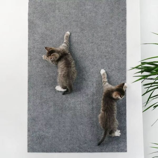 self-adhesive cat scratching mat Product lifestyle 2 kittens Petzvibes.com