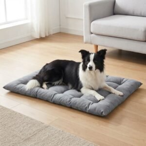 Border Collie lying flat on a grey 3-in-1 convertible pet bed in mat mode in a bright living room