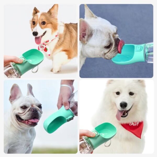 Portable Dog Water Bottle for Walking and Travel 4 dogs