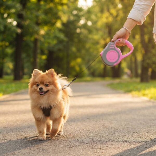 Retractable Dog Leash for Small Dogs Function Lifestyle 2 Small dog on a walk using the PetzVibes pink and grey automatic retractable leash in a sunny park