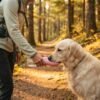Pink PetzVibes portable dog water bottle being used to give a dog water during a hiking trail walk